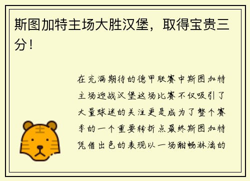 斯图加特主场大胜汉堡，取得宝贵三分！